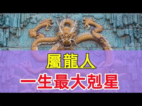 屬龍的名人|【屬龍 名人】屬龍名人魅力無窮！盤點最受歡迎的生肖龍男神女。